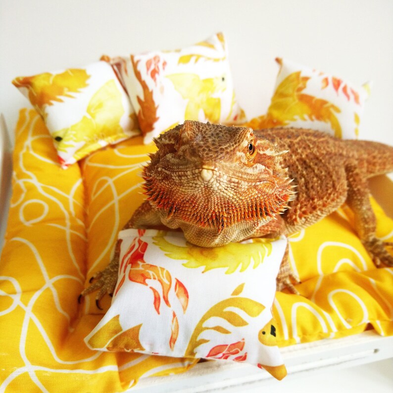 Bearded dragon bed Dragon day bed Etsy