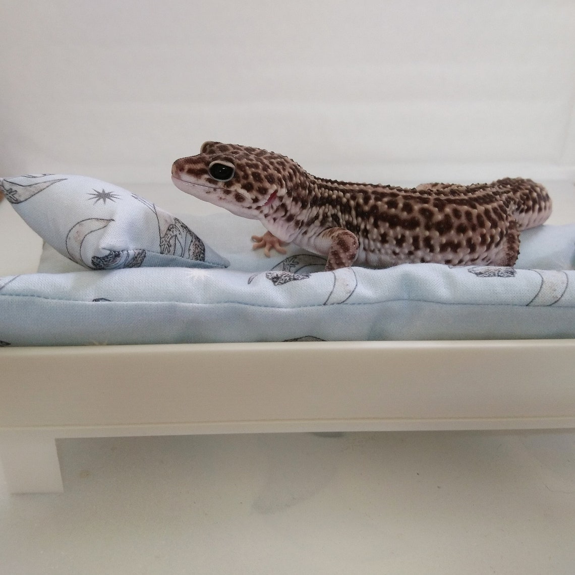 Leopard gecko bed snooze sofa Etsy
