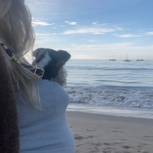 May include: A woman wearing a brown sweater and a blue sweater holds a black and white dog in her arms. The dog is looking out at the ocean. The woman and dog are standing on a sandy beach with blue water and a clear sky in the background.