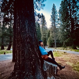 May include: A woman wearing a blue scarf and a black beanie sits on a tree stump in a forest. The woman is looking to the right of the frame. The forest is filled with tall pine trees.