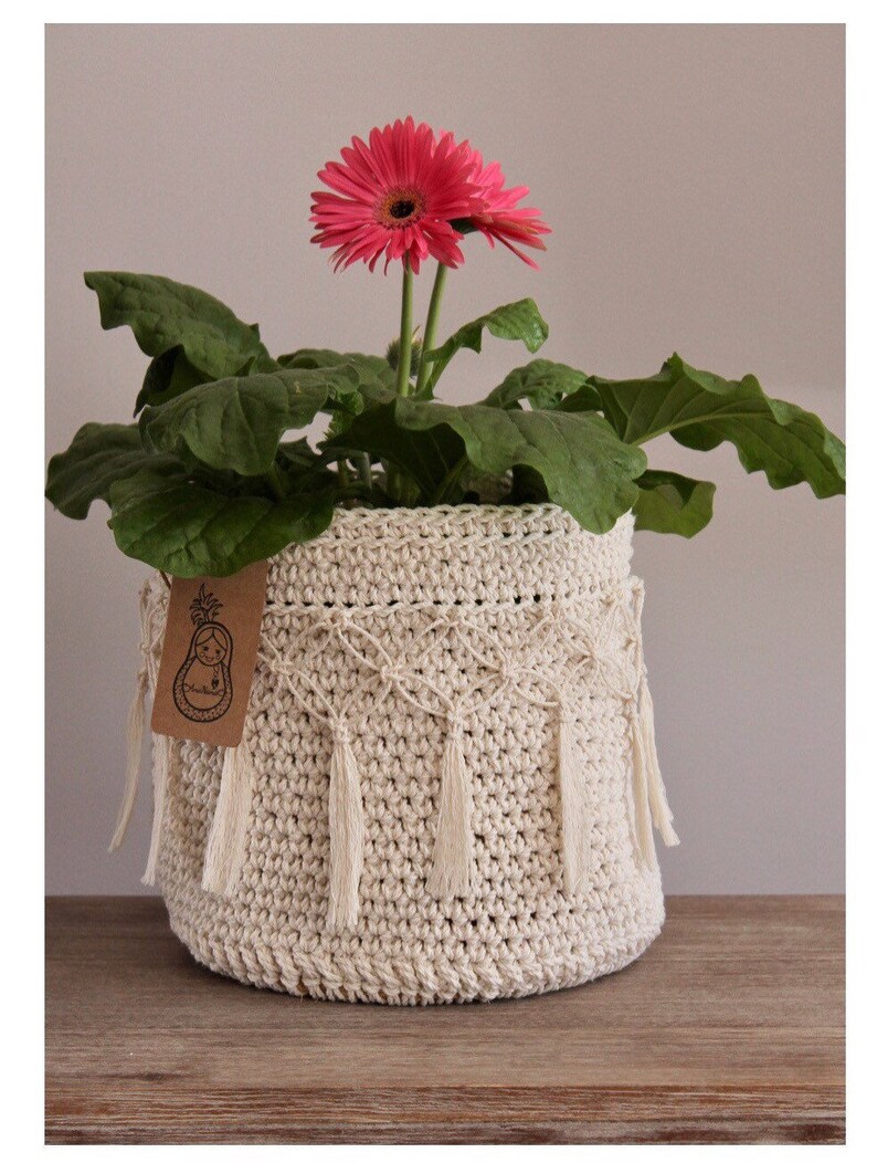 Plant Basket/ Pot Cover/ Rope/ Hook/ Boho/ Rope Basket/ Etsy