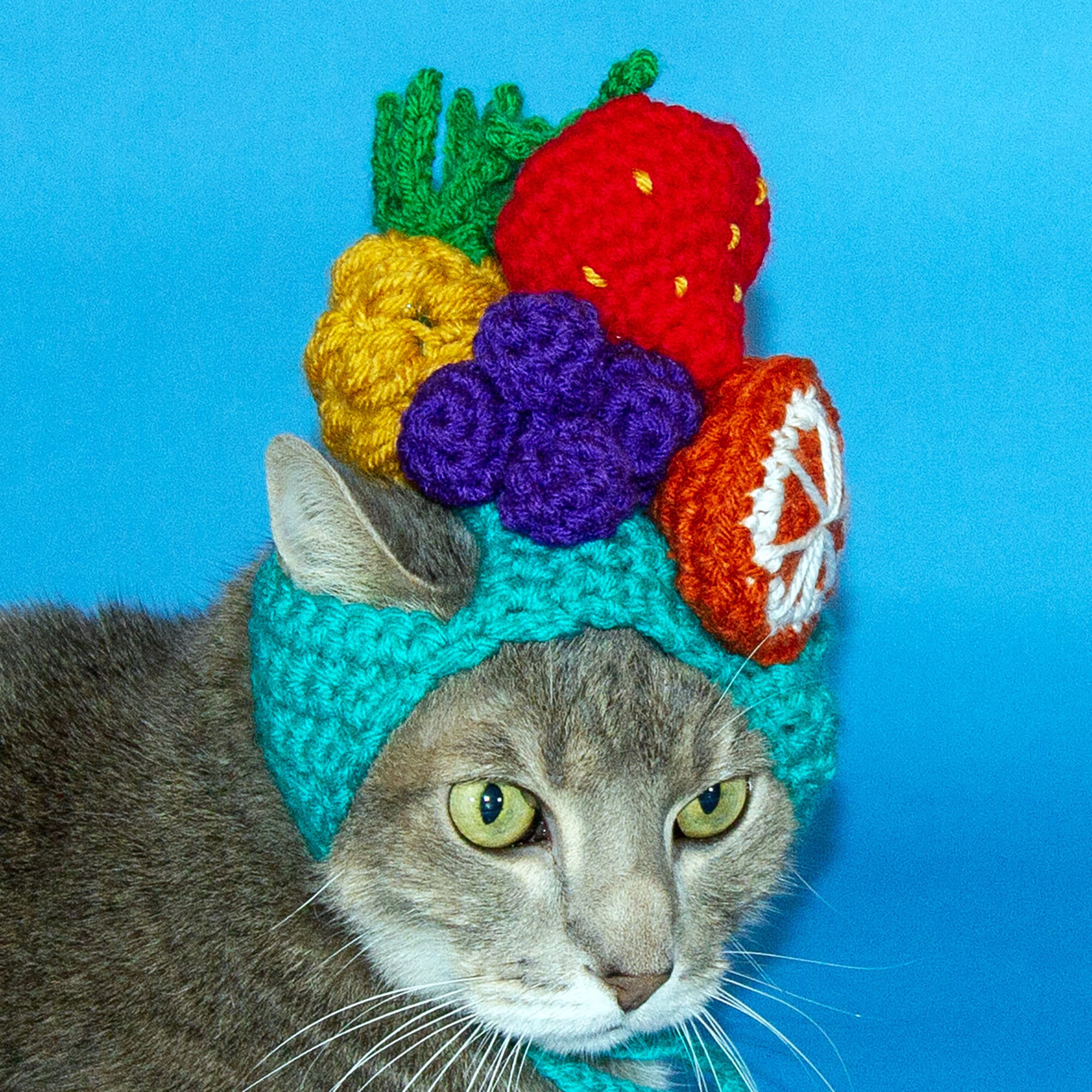 Fruit cat hat Clearance