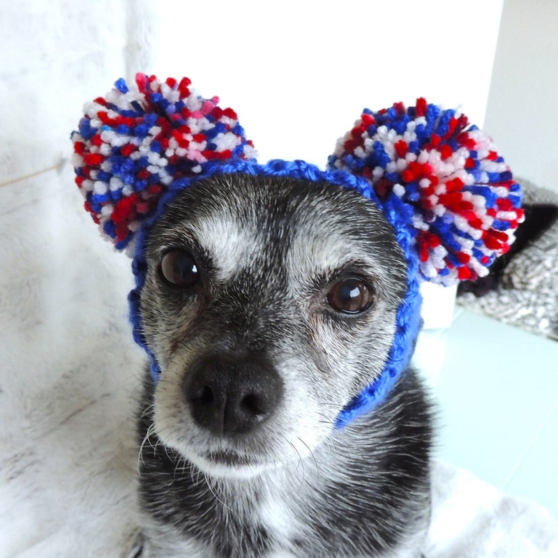 Dog Headband - Etsy