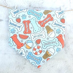 May include: A light blue dog bandana with a repeating pattern of bones, ice cream cones, strawberries, and beach balls. The bandana has the phrases "Pool Pawty", "Tongues Out", and "Sun's Out" printed on it.