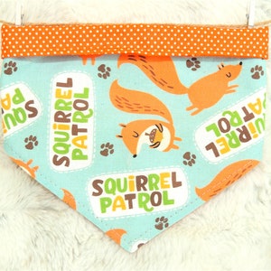 Squirrel Patrol Dog Bandana, reversible pet bandana with snaps