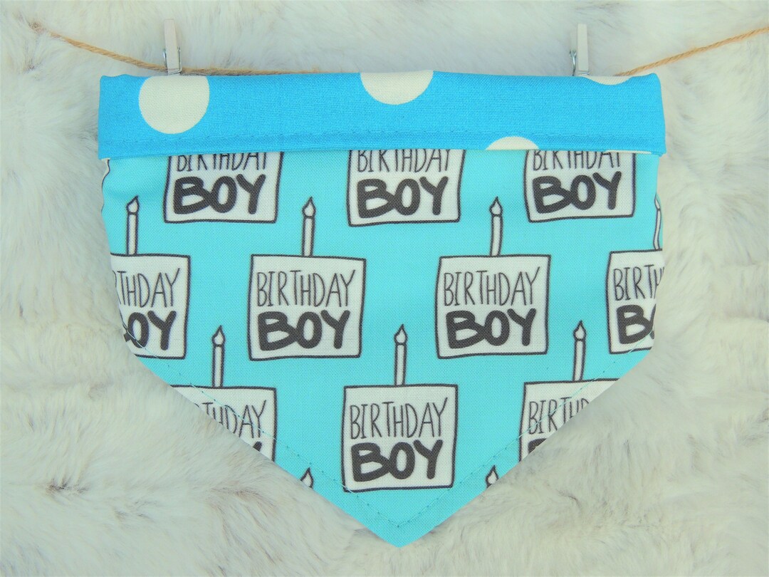 Birthday Boy Dog Bandana bandana réversible pour animaux de Etsy France