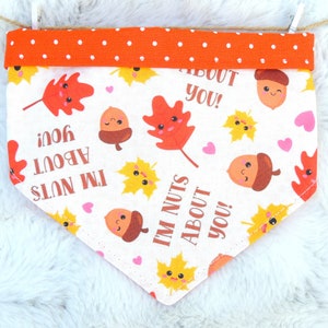 Autumn Dog Bandana, reversible pet scarf with snaps