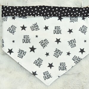 Big Dude Dog Bandana, reversible pet bandana, dog bandana