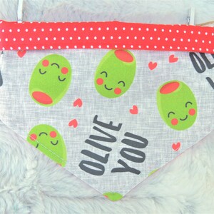 Cute Dog Bandana, reversible pet scarf with snaps