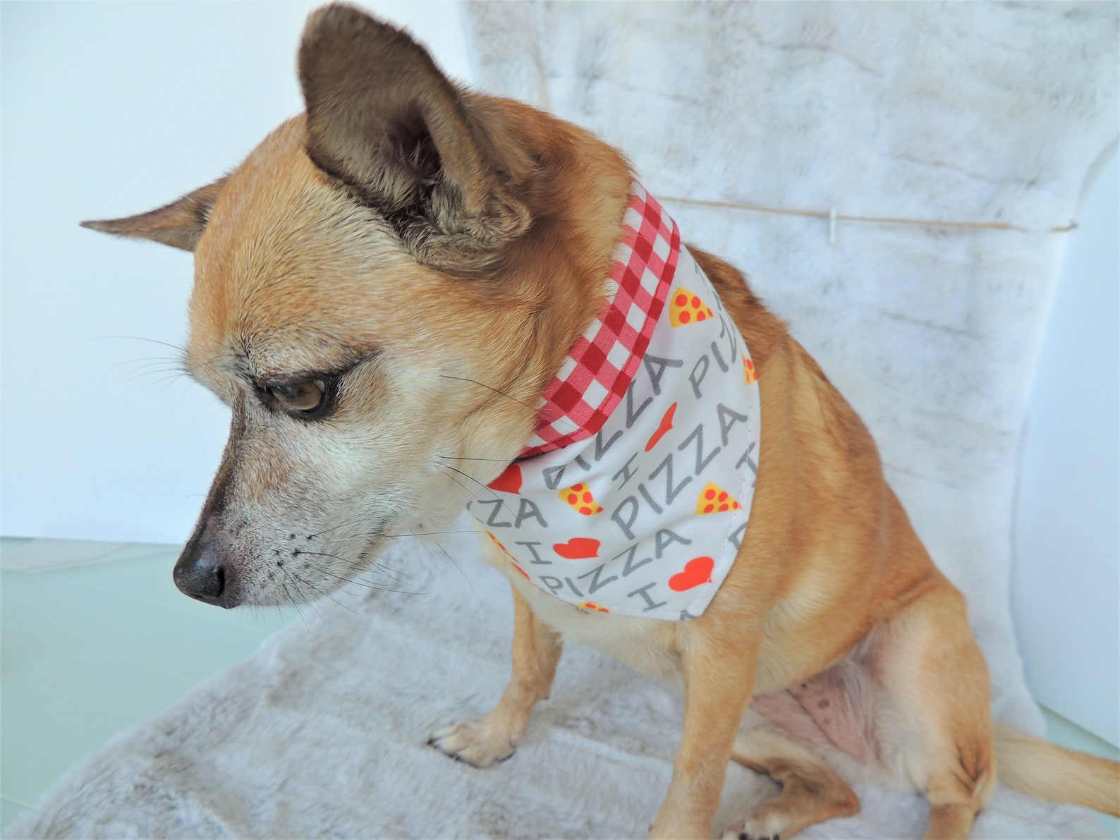 Pizza Hunde Bandana Wende Hunde Bandana mit Haken und Loop Etsy