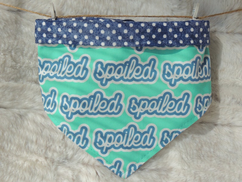 Spoiled Dog Bandana reversible dog bandana with hook and loop fastener