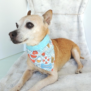 May include: A small tan dog wearing a light blue and white patterned bandana. The bandana features summer-themed illustrations of watermelon slices, ice cream cones, and a life preserver. The text "Pool Pawty" is also visible.