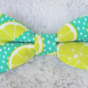 Summer Dog Bow Tie, dog bow