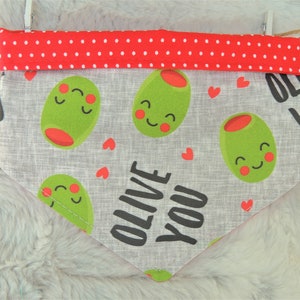 Cute Dog Bandana, reversible pet bandana, Valentine's Day, dog scarf