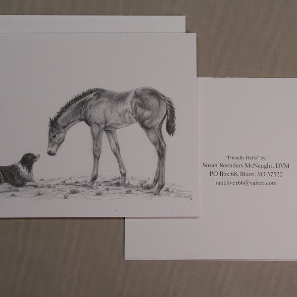 Horse Note Cards with Envelopes, Set of 4 cards, Equine Design, Colt and Dog, Printed from Original Pencil Drawing by the Artist