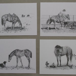 May include: A set of four black and white pencil drawings of horses. The first drawing shows a horse grazing in a field. The second drawing shows a horse being ridden by a cowboy. The third drawing shows a foal standing next to a dog. The fourth drawing shows a horse being groomed by a person.