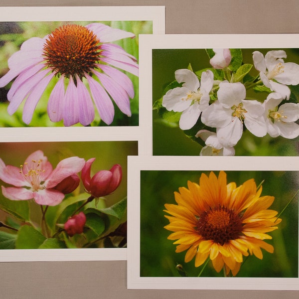 Floral Greeting Cards, Set of 4 Flower Photo Note Cards, 4 Blank 5 x 7 Cards with Envelopes