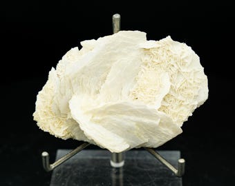 蛍光ホワイトローズカルサイト - Etsy 日本