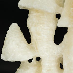 UV-Reactive X-Large White Mushroom Calcite Stalactite Wenshan Mine Yunnan
