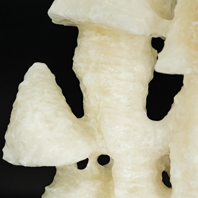 UV-Reactive X-Large White Mushroom Calcite Stalactite Wenshan Mine Yunnan