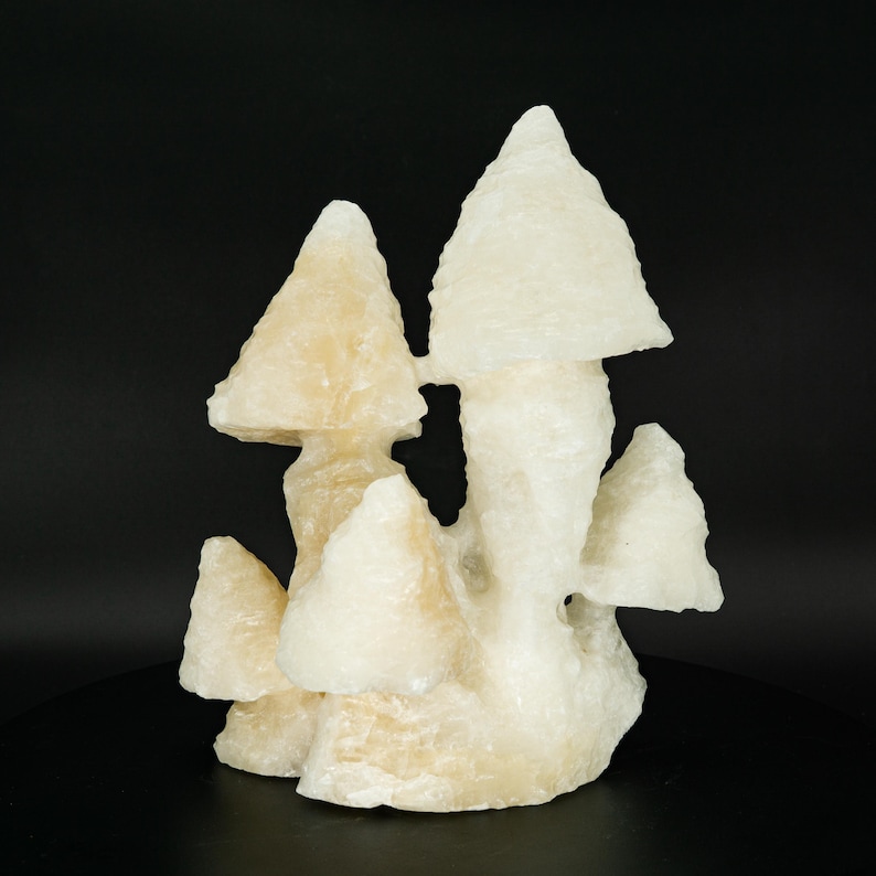 UV-Reactive X-Large White Mushroom Calcite Stalactite Wenshan Mine Yunnan