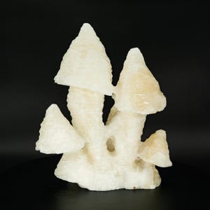 UV-Reactive X-Large White Mushroom Calcite Stalactite Wenshan Mine Yunnan