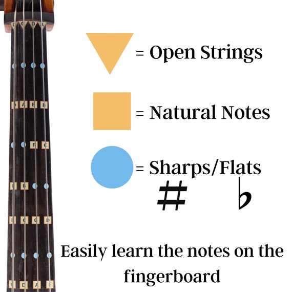 Figures de Notes] Le violoncelle, mode d'emploi 