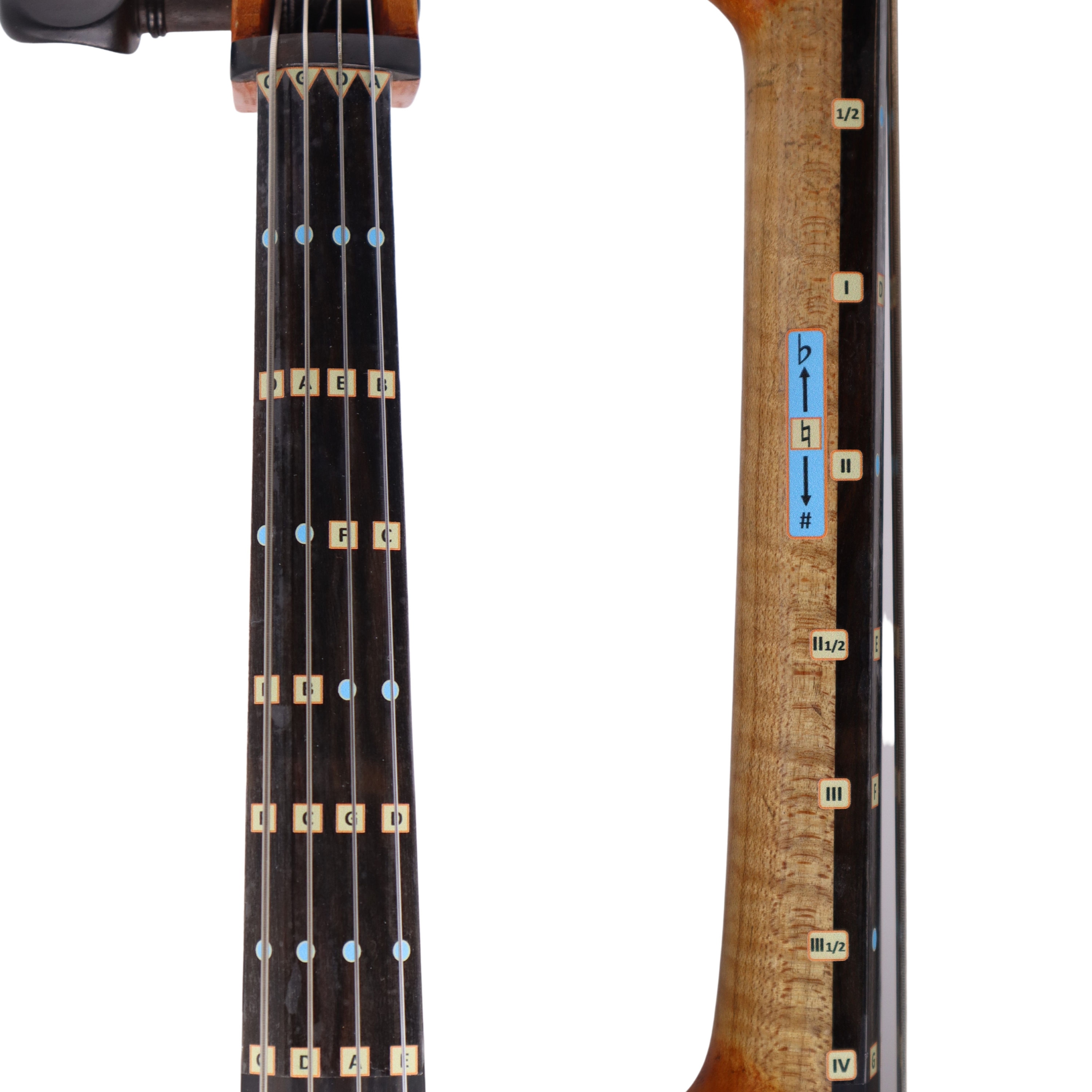 Fantastische Vingergids voor Cellos | Snaarmuziekinstrumenten | Toetsenbord en Fretboard Stickers voor het leren van alle notities | Kinderen/Volwassen Beginner Cello Finger Guide | 3/4 Maat