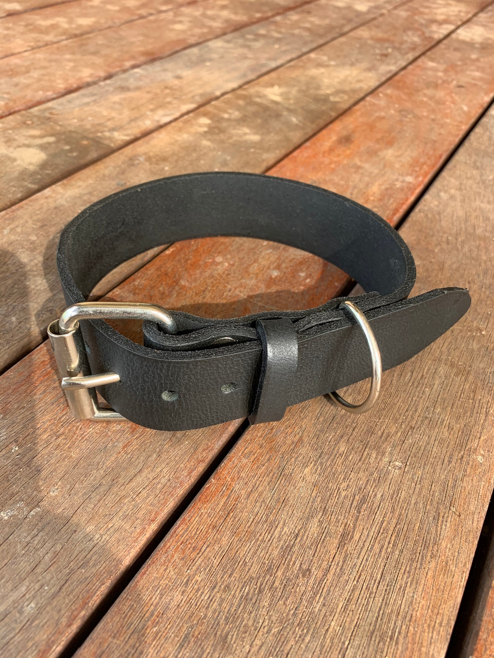 What Makes A Good Dog Collar: 5+ Types Explained