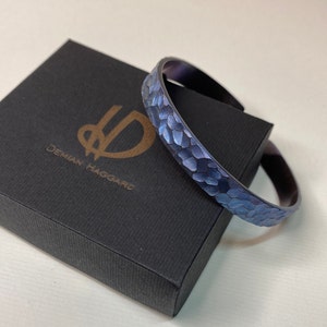 May include: A blue titanium bracelet with a textured, scaly design. The bracelet is in a black box with the text "Demian Haggard" in gold lettering.