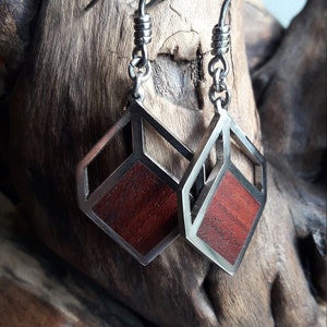 Anime earrings. big red wood earrings. titanium hoop earrings. quirky earrings