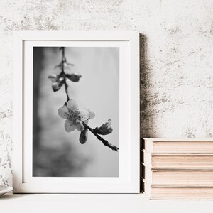 Wall Art- Home Decor- Wall Decor- Photography- Photo- Floral- Minimalistic- Poster