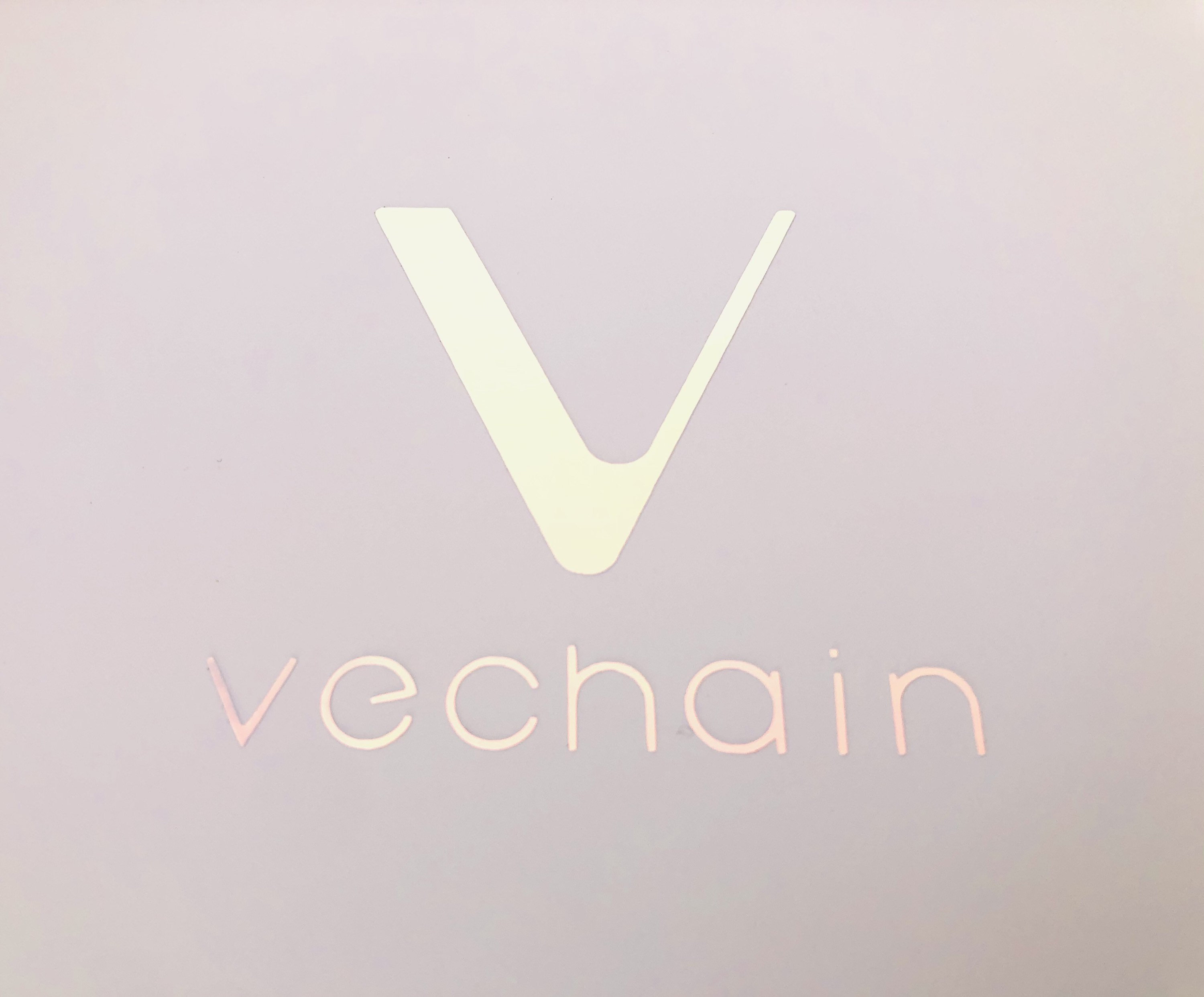 VET VeChain Crypto Cryptocurrency Portefeuille Décalque | Crypto-monnaie  holographique VeChain | VeChain - France | VET VeChain Décalque pour  téléphone portable de voiture - Etsy France