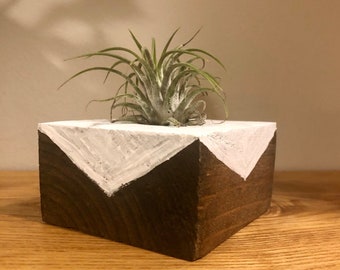 Geometric Air Plant Planter/Holder