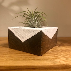 Geometric Air Plant Planter/Holder