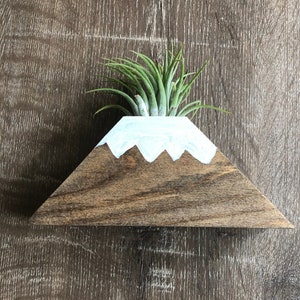 ""Mountain Air""-Blumentopftopf."