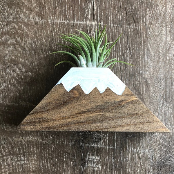 Air Plant Holder Desk Etsy