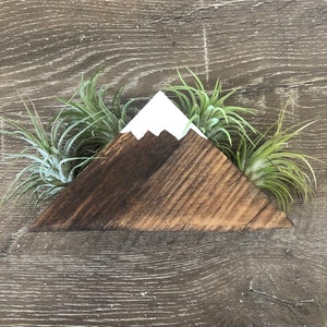 May include: A wooden mountain-shaped planter with a white snow-capped peak and dark brown sides. Three air plants with green leaves are arranged around the mountain. The planter sits on a dark wood-grain surface.