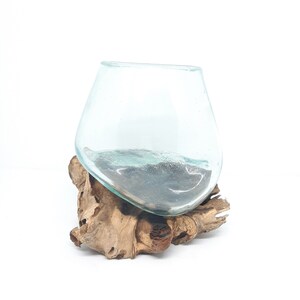 Molten Glass Terrarium on Driftwood Base Handcrafted by Bali Artisan Hand Blown Clear Reclaimed Glass Small Fish Tank Aquarium Made in Bali