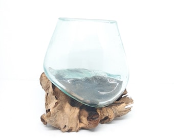Molten Glass Terrarium on Driftwood Base Handcrafted by Bali Artisan Hand Blown Clear Reclaimed Glass Small Fish Tank Aquarium Made in Bali