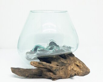 6.5&quot; / 16.5 cm Tall Molten Glass Terrarium on Balinese Driftwood Base Handcrafted by Bali Artisan Hand Blown Clear Reclaimed Glass Fish Tank