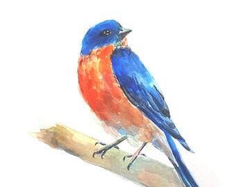 Aquarelle d’oiseau bleu de l’Est, Idée cadeau d’aquarelle de Pâques, Peinture d’oiseau bleu, Oiseau sur branche