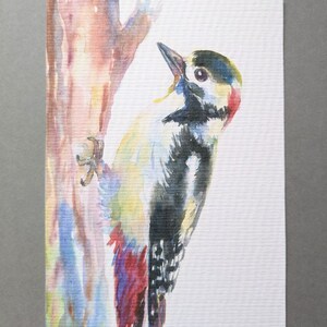 Postkarte "Specht" | Vogel Grußkarte für einen Freund, Waldtier Kunstwerk, Dankeskarte, Danksagung, Natur Kunstwerk