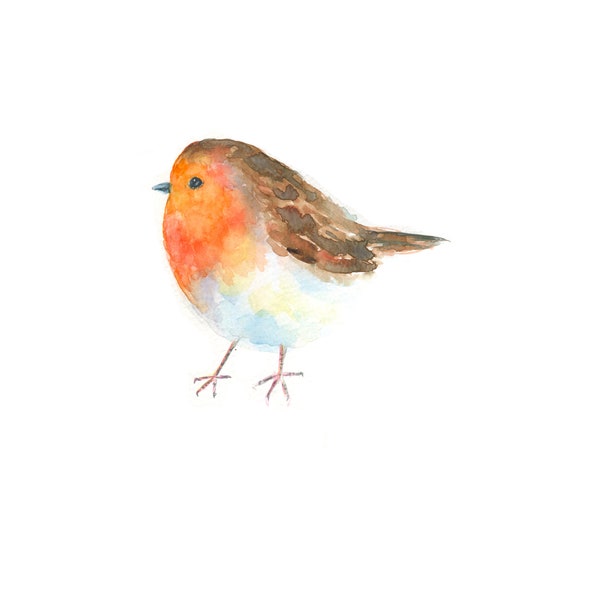 Robin watercolor, fluffy rotkehlchen painting, city Birds  Art, Hand painted original aquarelle,