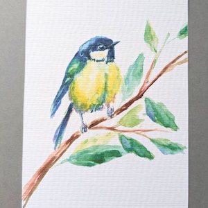Postkarte "Meise auf Ast", Grußkarte für Freundin, Waldtier, Dankeskarte, Danksagungskarte, Naturkunstwerk