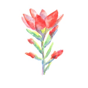 Pincel indiano aquarela original, pintura floral do Texas, ideia de presente para o dia das mães, arte com flores minimalistas vermelhas