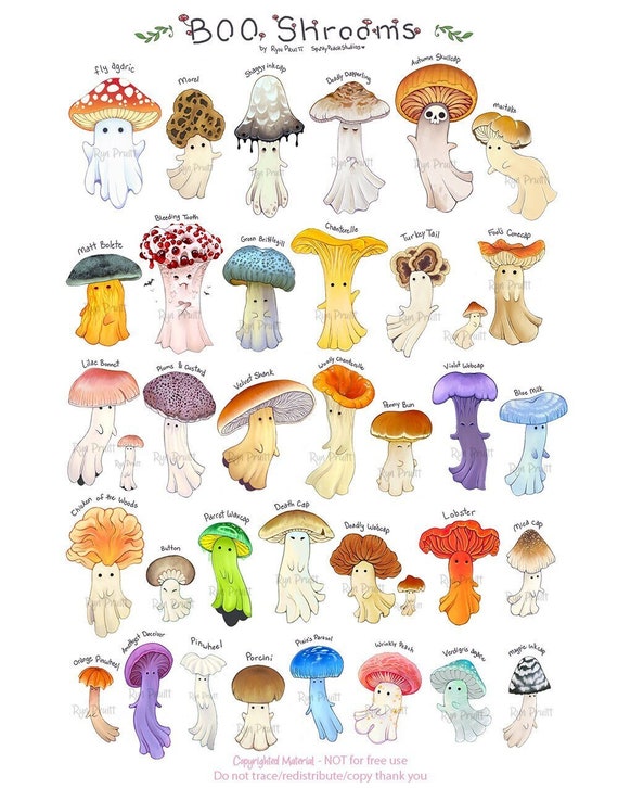 Mushroom Molds – Small Parasol – World of Sugar Art