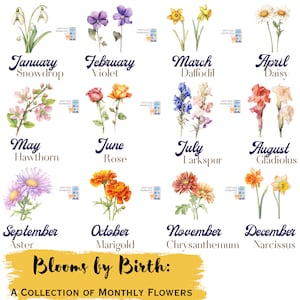 Bloom by Birth: Vintage Colored Pencil Botanical Flower PNG Bundle, Custom Birth Month Floral Printt, Antique Floral Graphics Set