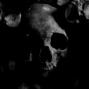 May include: A high-contrast black and white photograph featuring a central human skull surrounded by a cluster of other bones. The lighting emphasizes the deep shadows within the eye sockets and nasal cavity, highlighting the textured bone surface.