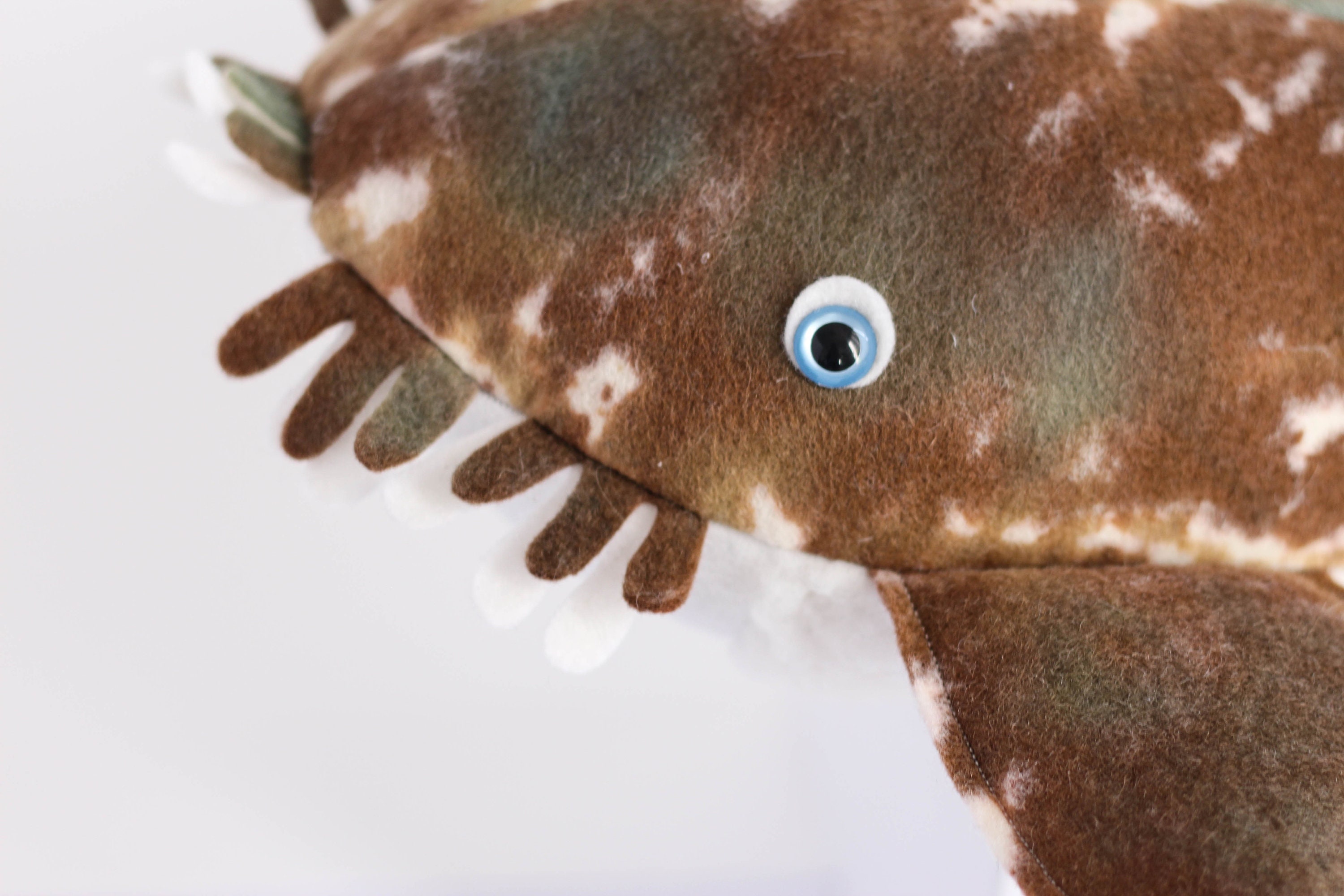 Wobbegong toy 2025